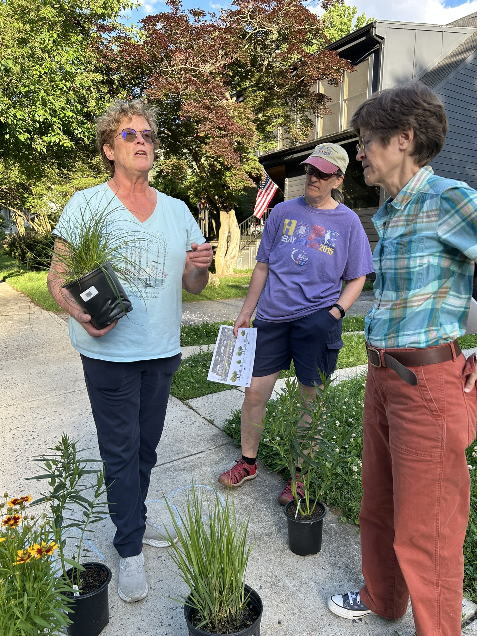 DPW Staff demonstrate native plantings that can be used in bioswales and rain gardens